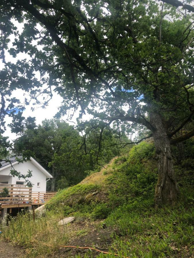 Lomamokki 25 Km Turusta Hotel Masku Eksteriør billede